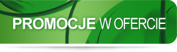 Promocje w ofercie